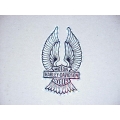NOS Harley Decal, Glistering NOS Harley Decal, Glistering