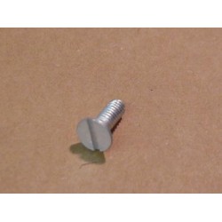1713 SLOTTED Recessed Head Screw